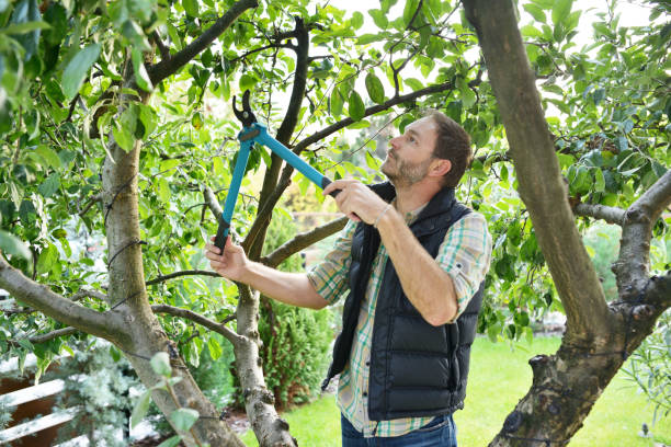 Best Tree Health Inspection  in Essex Fells, NJ